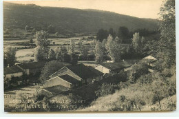 39 - N°88295 - MONTAGNA LE TEMPLIER - Le Petit Montagna Vu De La Route De Villeneuve - Carte Photo - Other & Unclassified