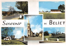 33 - SAN61567 - BELIET - Souvenir De Beliet - Renaud - CPSM 10x15 Cm - Autres & Non Classés