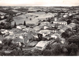 32 - SAN61556 - ST SAUVY - Vue Panoramique - Combier - CPSM 10x15 Cm - Autres & Non Classés