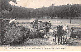 29 - QUIMPER - SAN48813 - La Rivière - Les Approvisionnements De Sable à Port Meillon - Agriculture - Quimper