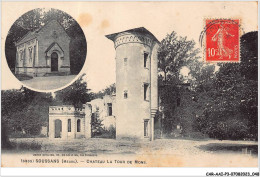 CAR-AAIP3-33-0216 - SOUSSANS - Chateau De La Tour De Mons  - Autres & Non Classés