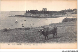 CAR-AAHP3-35-0219 - SAINT-BRIAC - Le Nessey - Saint-Briac