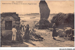 CAR-AAHP2-29-0140 - PLOZEVET - Menhir Du Droit De L'homme Et L'entrée De La Gare De La Plage De Conté - Plozevet