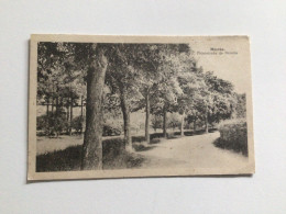 Carte Postale Ancienne Marche Promenade De Nérette - Marche-en-Famenne
