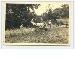 Attelage - Scène Agricole - Faucheuse - Teams