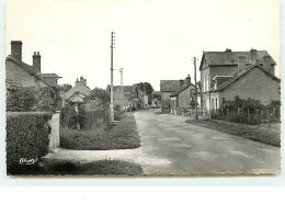 SENNELY - Route De Souvigny-en-Sologne - Autres & Non Classés