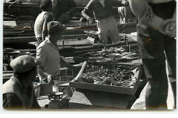 Photo - MARSEILLE - Vieux Port - Hommes Près De Leur Pêche - Oude Haven (Vieux Port), Saint Victor, De Panier