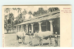 Malaisie - PENANG - Jetty Temp'e With The Holy Cows - Malaysia