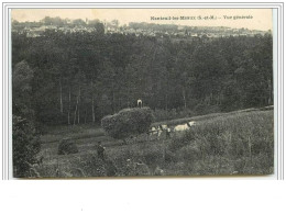 NANTEUIL-LES-MEAUX Vue Générale Ramassage Des Foins - Autres & Non Classés