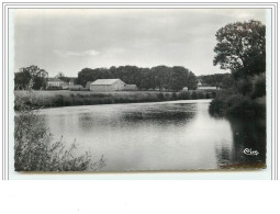 MICHERY Les Bords De L'Yonne - Other & Unclassified