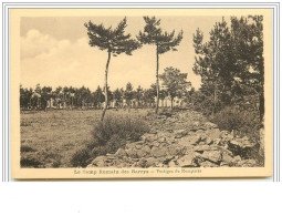 YSSINGEAUX - Le Camp Romain Des Barrys - Vestiges De Remparts - Yssingeaux