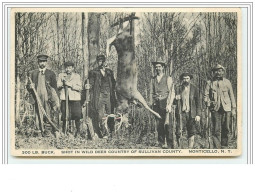 Shot In Wild Deer Country Of Sullivan County - Monticello - Chasse Cerf - Hunting