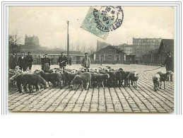 PARIS XIX Marché Aux Bestiaux De La Villette Moutons Allant Aux Parcs - District 19