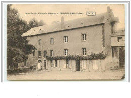 Moulin Du Chemin Ramon à TRIGUERES - Otros & Sin Clasificación