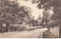 Royaume-Uni - Angleterre - EWHURST Village - Surrey