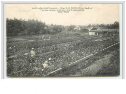 PORT-DE-LANNE Chez M. B. Crouzat, Horticulteur Vue Des Cultures D&amp Acute été Dans Les Cressonnières - Autres & Non Classés