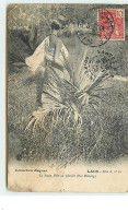 LAOS - La Jeune Fille Au Palmier (Ban-Mouang) - Laos