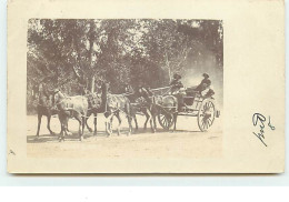 KOKSTAD - RPPC - Homme Dans Une Carriole Tirée Par Des Chevaux - Sudáfrica