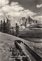 CARTOLINA  C17 ALPE DI SIUSI,BOLZANO,TRENTINO ALTO ADIGE-DOLOMITI-IL SASSOLUNGO M.3178-VACANZA,BELLA ITALIA,VIAGGIATA - Bolzano