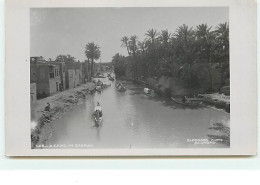 IRAQ - A Canal In Basrah - Iraq