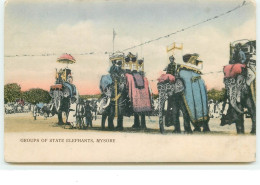 Groups Of State Elephants, Mysore - Indien