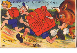 Vive La Campagne !... Dans Le Sac Il Y A MILLAU (carte à Système) - Millau