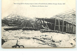 SEYCHELLES - Store Being Built For Drying Mangrove Bark At Picault-Island (Aldabra Group) October 1907 - Seychelles