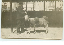 PARIS - Concours Agricole - C. Robert Photo - Garçon Tenant Un Moutont Tondu - Tour Eiffel - Mostre