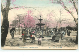 Cherry Blossom, YOKOHAMA Park - Yokohama