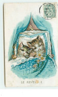 Chats Dans Un Lit - Le Rêve 1 - Gatos