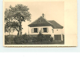 Carte-Photo SLOVENIE - Maison - Slovénie