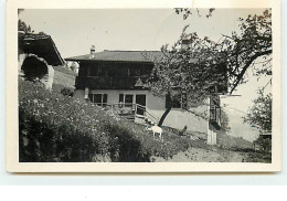 A Localiser - Carte-Photo Chalet De Montagne - Chèvre - A Identifier