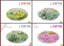 Korea North 2024 Ground Cover Plant (Fei Cai Long Handled Jade Hairpin Mai Dong Tian Lan Xiu Qiu),4v MNH，imperforated St - Corea Del Norte