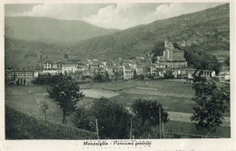 MONESIGLIO - PANORAMA GENERALE - F.P. - STORIA POSTALE - Cuneo