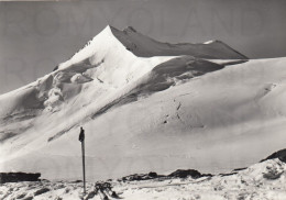 CARTOLINA  C17 CEVEDALE M.3778,BOLZANO,TRENTINO ALTO ADIGE-MONTAGNA,VACANZA,NEVE,SCIARE,BELLA ITALIA-VIAGGIATA 1962 - Milano (Milan)