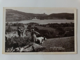 Le Lac De Chambon Fenaison - Other & Unclassified