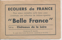 CA-171: FRANCE:  20 Vignettes** Séparées Du Carnet "chateaux De La Loire" - Toerisme (Vignetten)