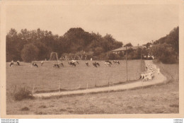 64 ARBONNE Vers Biarritz Guéthary N°111 Préventorium D'Arbonne Fermes Et Pâturages Jeux Promenade Dans Le Domaine Vaches - Biarritz