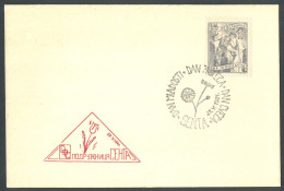 .Yugoslavia, 1961-05-25, Serbia, Senta, Day Of Youth, Spring & Flowers Special Postmark - Other & Unclassified