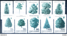 Definitiva. Alberi 1994. - Other & Unclassified