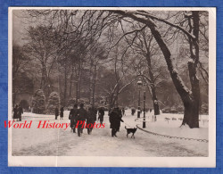 Photo Ancienne - PARIS - Le Parc Monceau Sous La Neige - Vers 1935 1938 - Jardin Parisien Hiver Chien - Europa