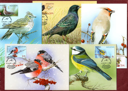 Moldova 2015 "Birds Of Moldova" 5 Maxicards Quality:100% - Moldavië