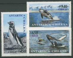 Chile 2000 Antarktis: Magellanpinguin, Buckelwal, Schwertwal 1960/62 Postfrisch - Cile