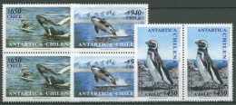 Chile 2000 Antarktis Pinguin, Buckelwal, Schwertwal 1960/62 Paare Postfrisch - Cile