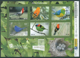 Brasilien 2009 Tiere Vögel Block 144 Postfrisch (C63325) - Blocks & Kleinbögen