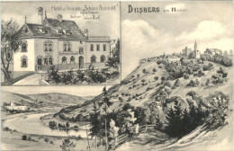 Dilsberg Am Neckar - Hotel Schöne Aussicht - Neckargemünd