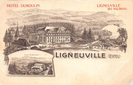 Belgique - LIGNEUVILLE (Liège) Hotel Dumoulin - Villa - Autres & Non Classés