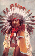 Usa - Native Americans - Chief Hollow Horn - Publ. Raphael Tuck & Sons Oilette 2171 - Indiani Dell'America Del Nord