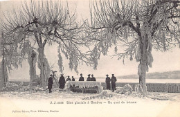 GENÈVE - Bise Glaciale - Au Quai Du Léman - Ed. Jullien Frères J.J. 5553 - Genève