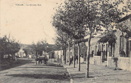 Algérie - VIALAR Tissemsilt - La Grande-Rue - Ed. Pierre Reynoud  - Sonstige & Ohne Zuordnung